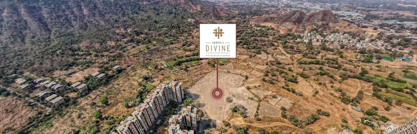 Drone View